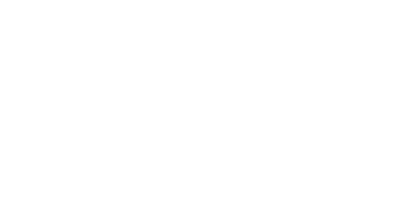 ANKER SOLIX LOGO new